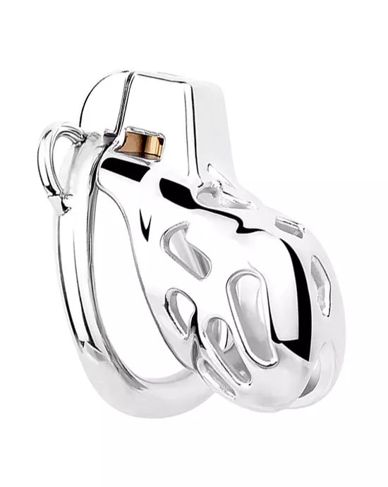 Stainless Steel Chasity Cage