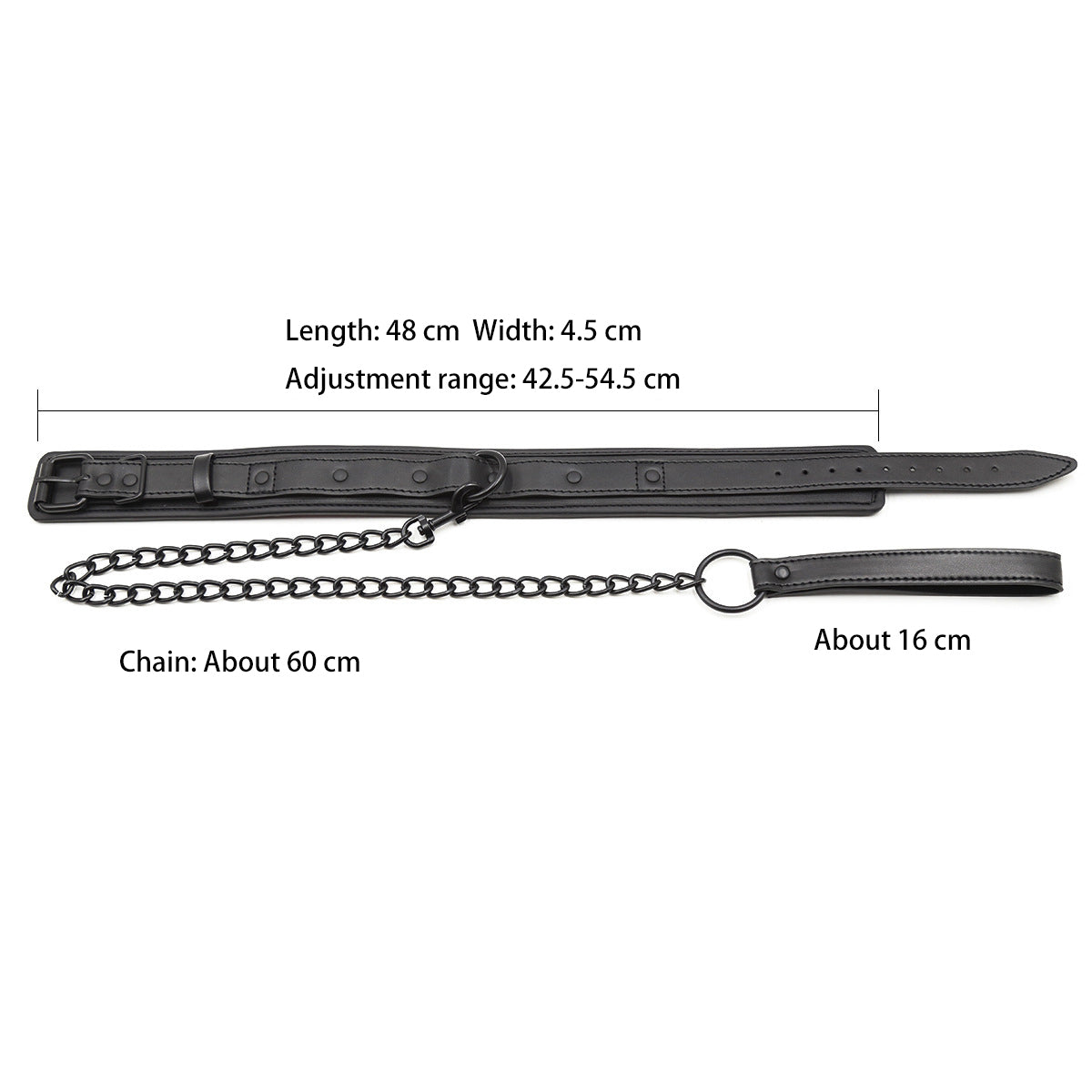 Collar with Leash