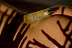 Nemosya premio, massage & body oil, 100% natural, coconut flavor, bottle laying on muddle buttocks 