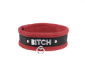 BITCH Suede Leather Collar