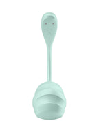 Satisfyer Smooth Petal - Connect App