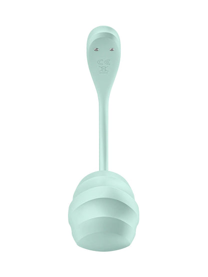 Satisfyer Smooth Petal Connect App