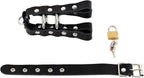 leather-penis-chastity-cage-disassembled-and-laid-out-showing-all-parts