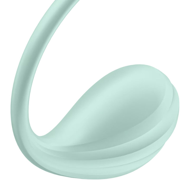 Satisfyer Smooth Petal - Connect App