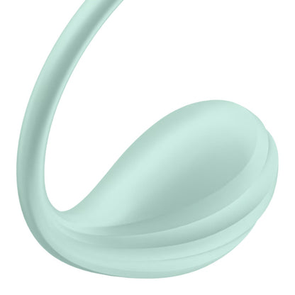 Satisfyer Smooth Petal Connect App