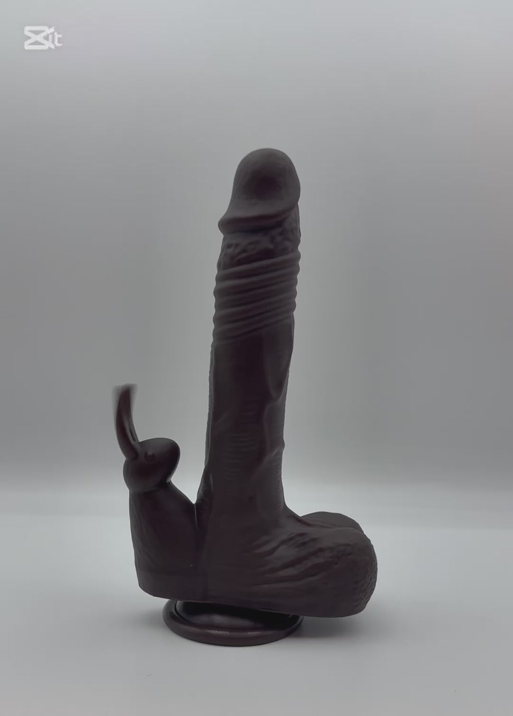 Rabbit Dildo Vibrator